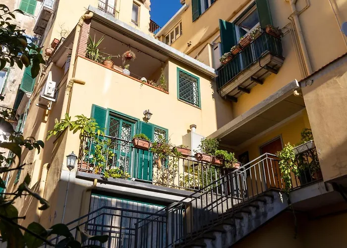 Colored House Until 7 People Above Sqplebiscito